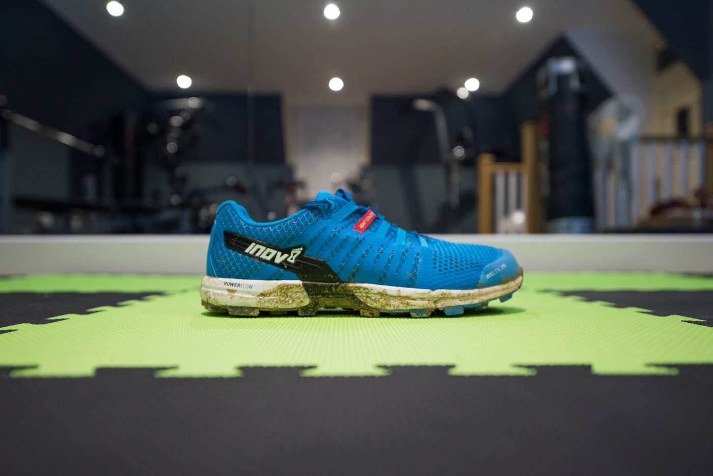 Inov-8 Roclite 290 Review - Trail Running Shoes | Trail & Kale