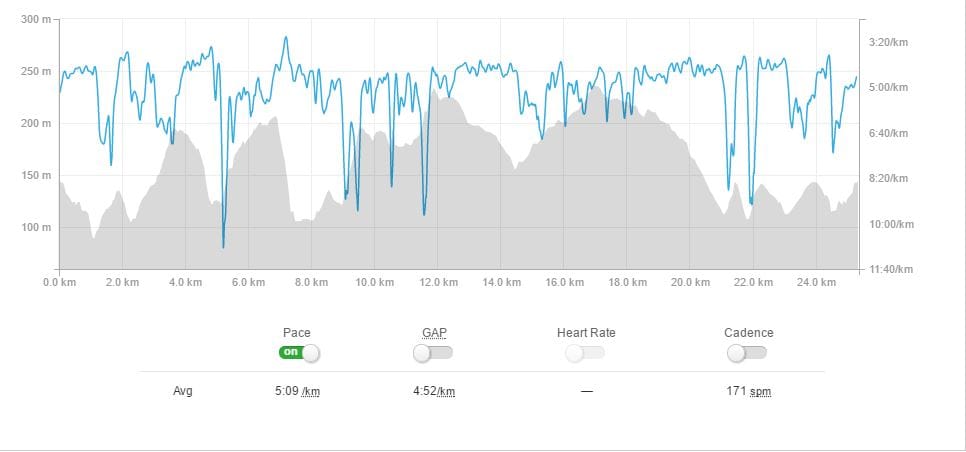 Maverick Race Surrey 25k profile