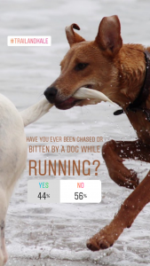how to stop a dog chasing you while running - instagram poll