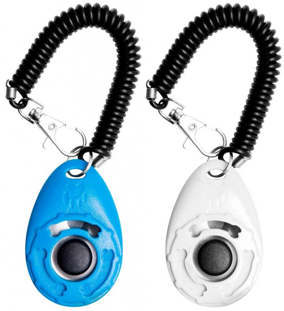 Dog Training Clickers Adventure Pup Essentials Trail and Kale