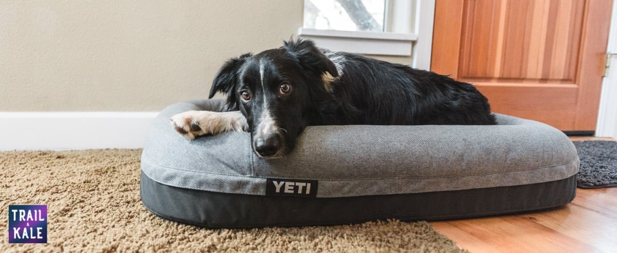 YETI Dog bed review trail and kale web wm 19