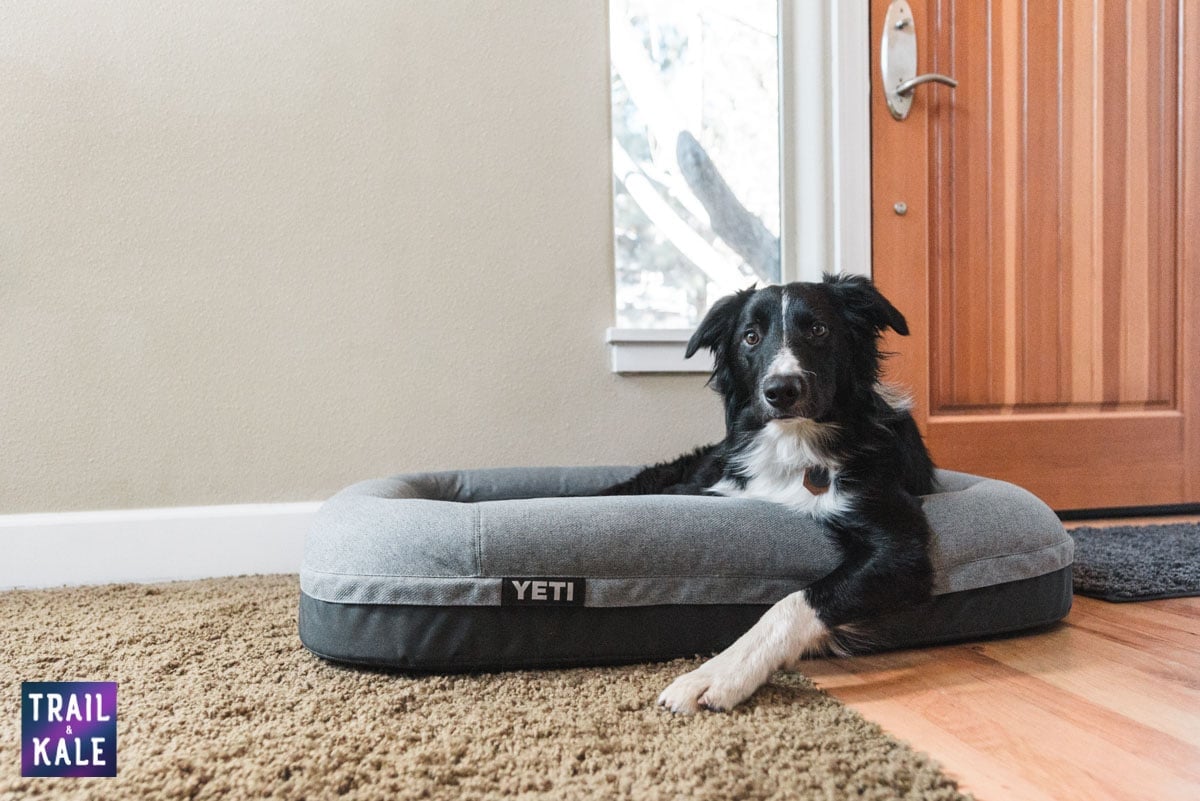 YETI Dog bed review trail and kale web wm 20