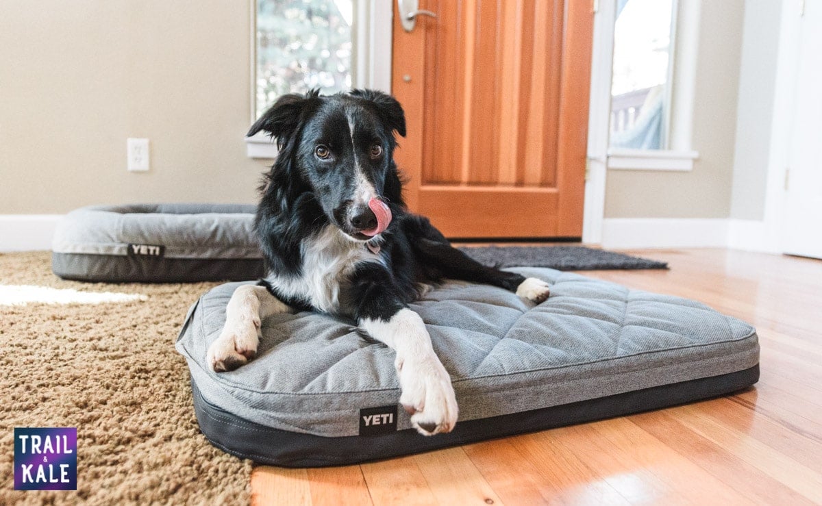 YETI Dog bed review trail and kale web wm 25