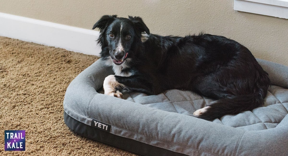 YETI Dog bed review trail and kale web wm 5