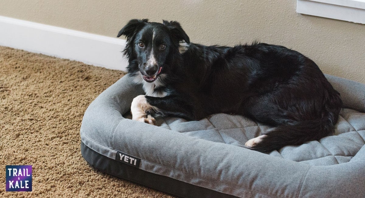 My Pup Loves the YETI Dog Bed, But She Doesn't Have to Pay for It