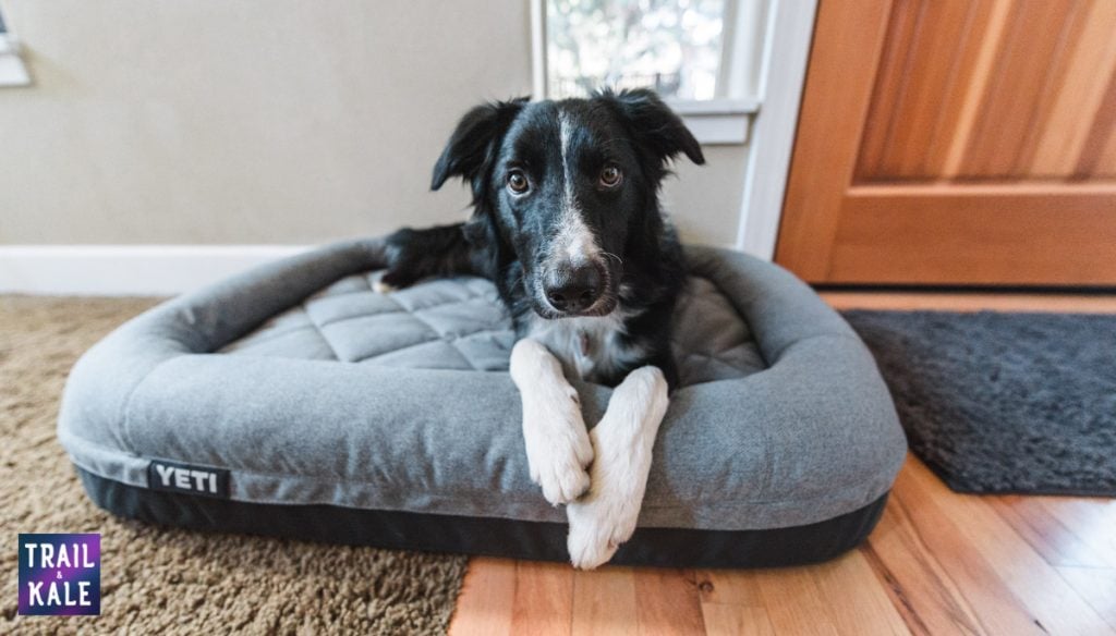 YETI Dog bed review trail and kale web wm 7