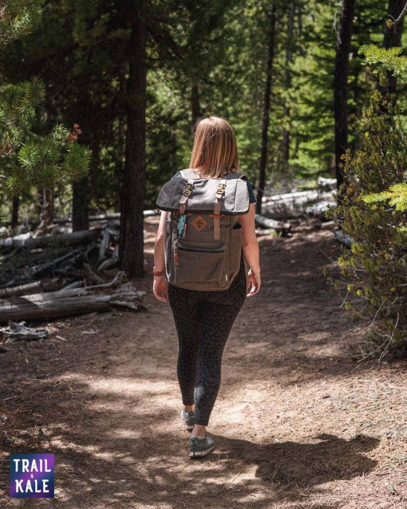 Revelry Drifter Backpack review trail and kale web wm 18
