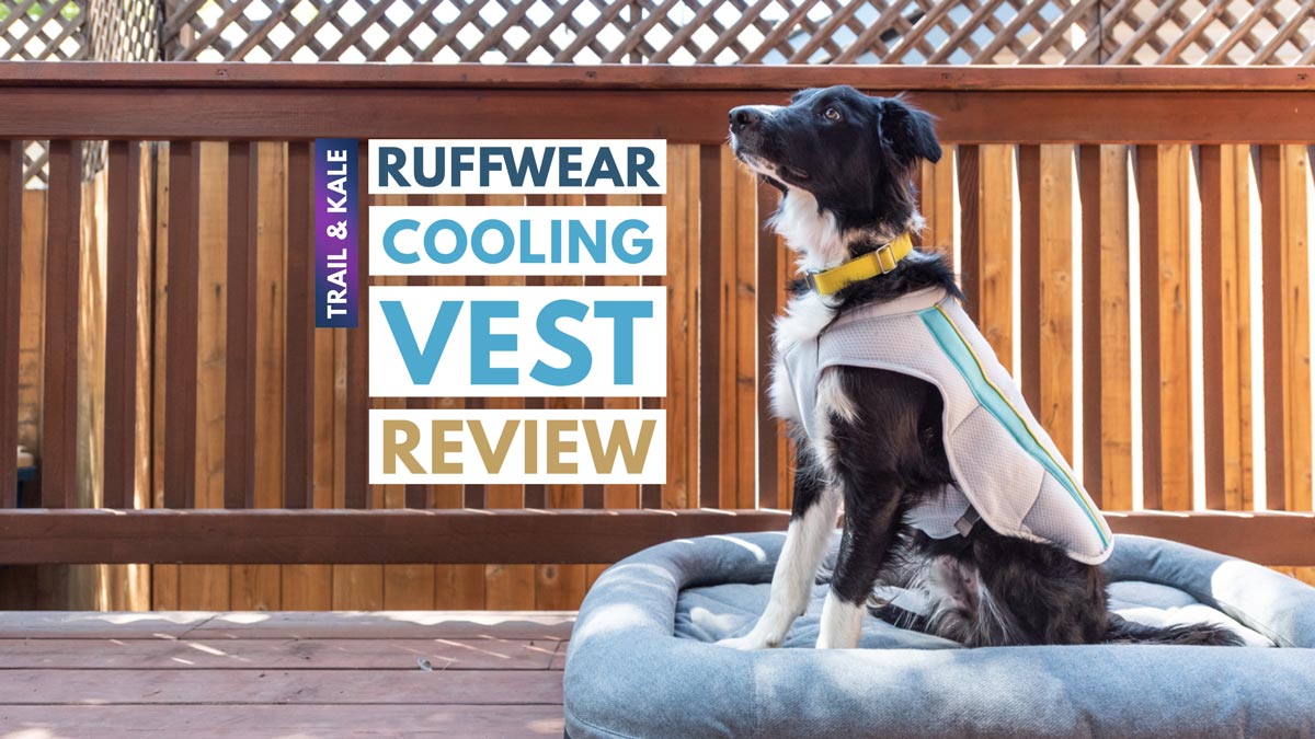 Swamp Cooler™ Cooling Dog Vest