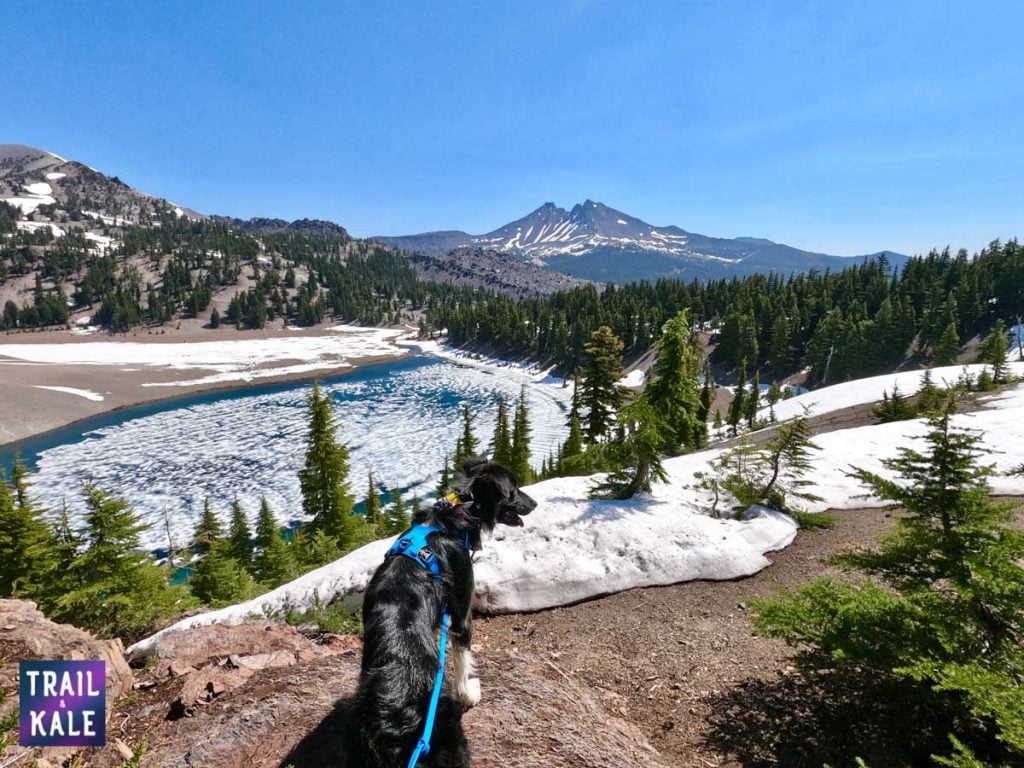 trail running with your dog trail and kale web wm 10