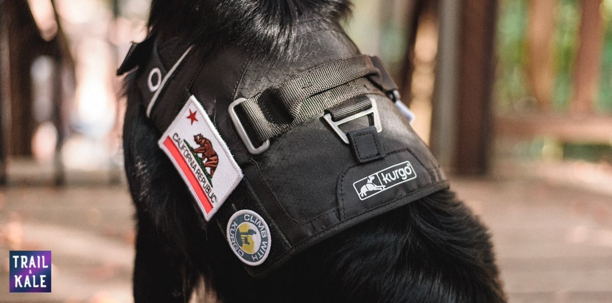 Kurgo Townie Harness Review trail and kale web wm 10