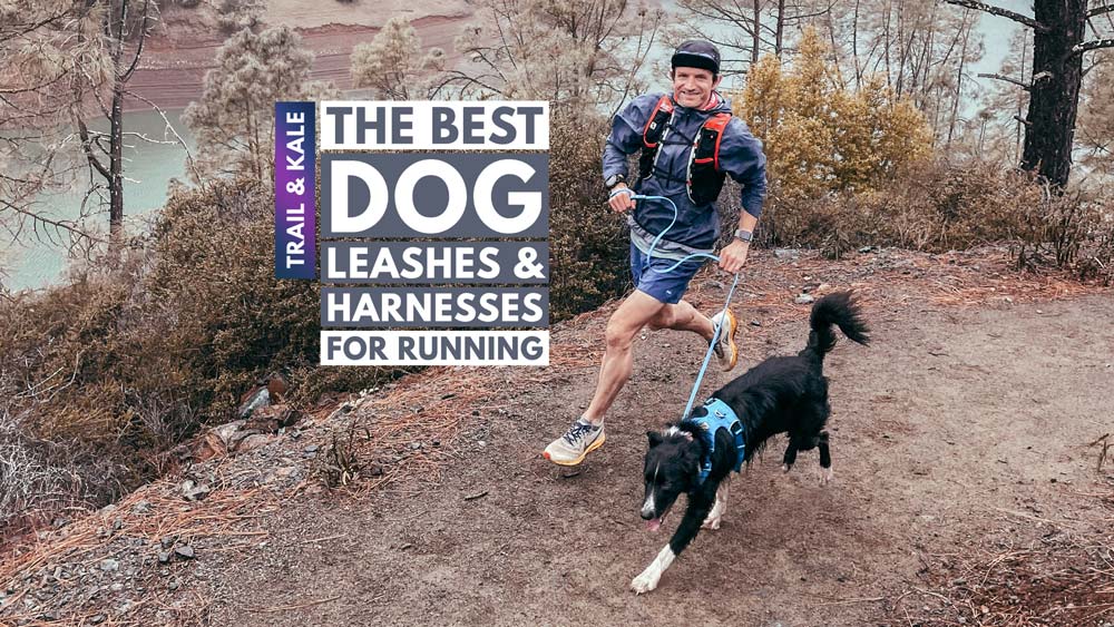 Best Dog Leash For Running dog running harness Trail and Kale