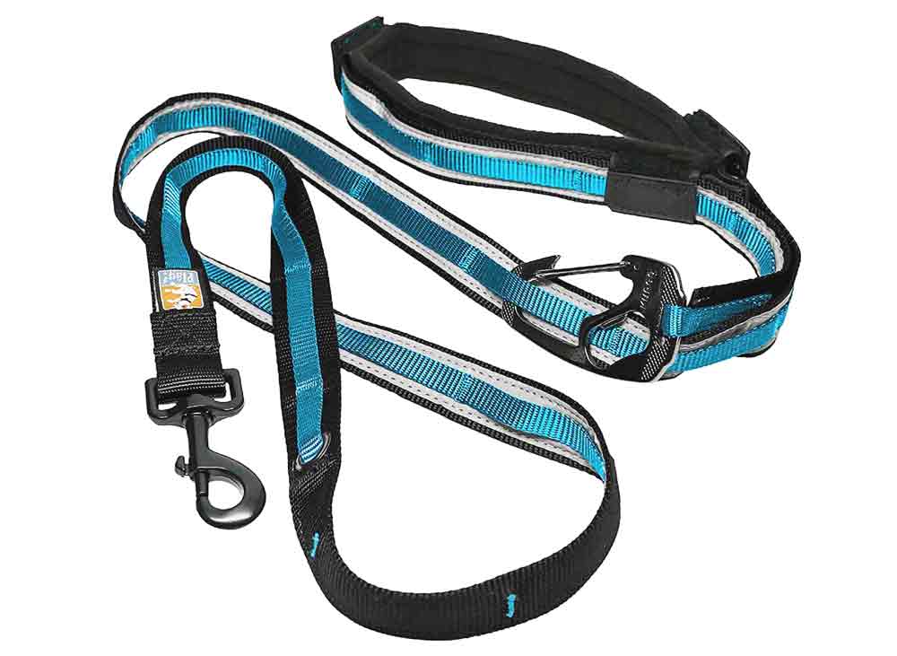 Kurgo Quantum 6 in 1 dog leash best dog leashes for running trail and kale