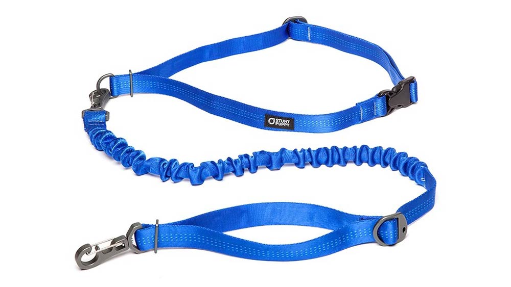 Stunt Puppy dog leash best dog leashes for running trail and kale