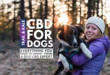 CBD For Dogs: Everything You Wanted To Know, From A Dog CBD Expert