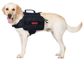 OneTigris Dog Backpack 2 best dog backpack trail and kale 1