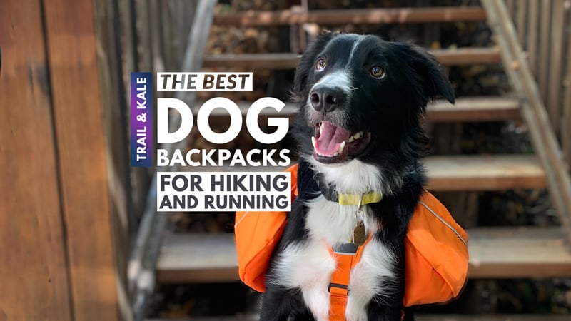 Perktail Dog Saddle Bag Doggie Backpack for Pets Adventure Tripper Hound Rucksack Pack for Walking Hiking Mountaineering Trip 