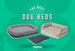 The Best Dog Beds Buyer's Guide