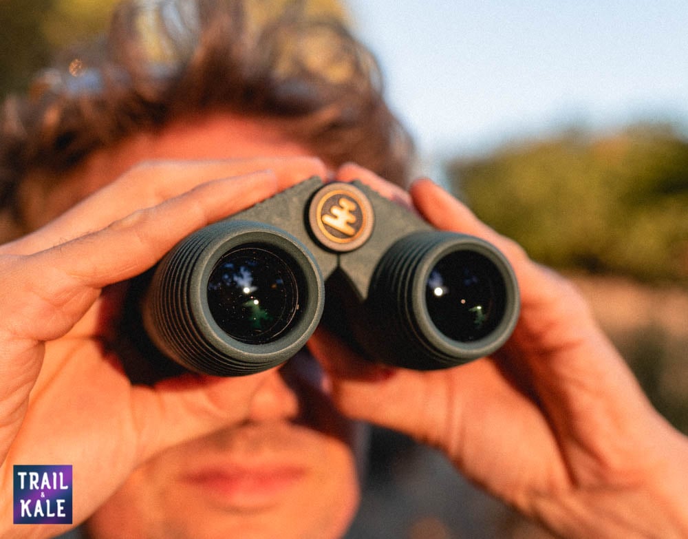 Getting to know our local wildlife better | Nocs Binoculars Review