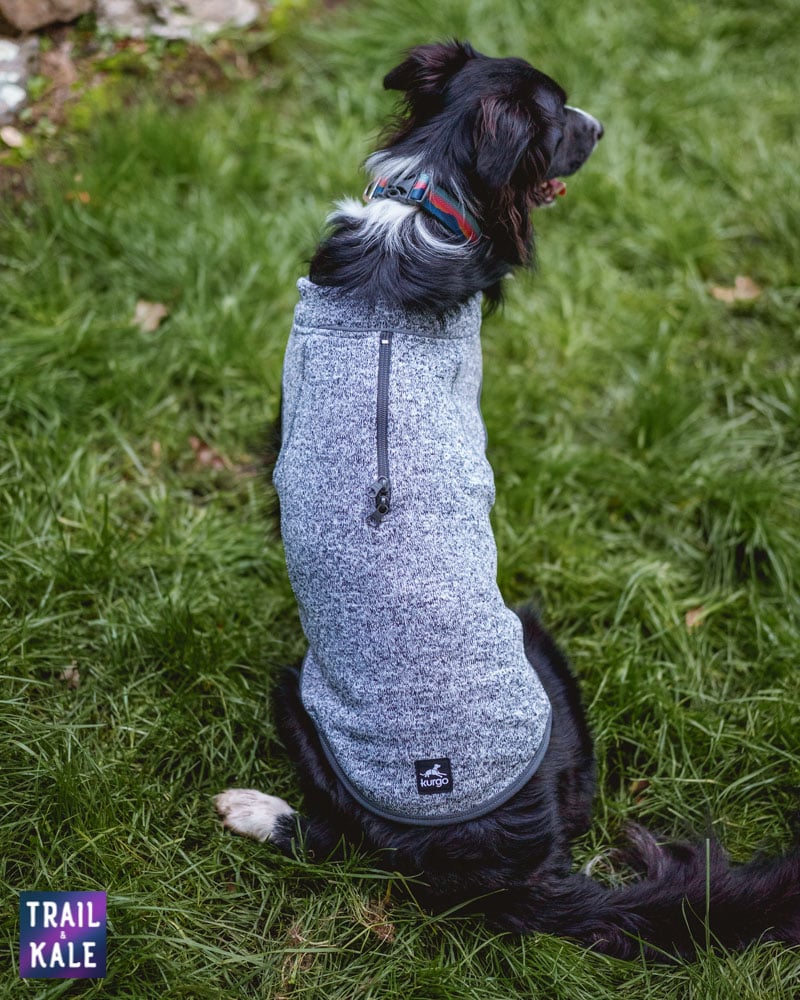 Kurgo Review - Kurgo K9 Dog Sweater - Trail and Kale