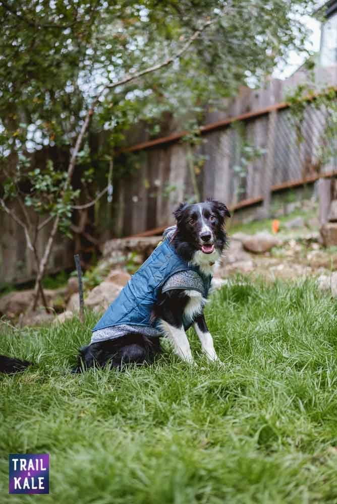 Kurgo Loft Dog Jacket Review Trail and Kale web wm 1