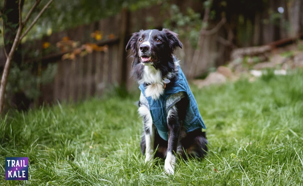 Kurgo Review - Kurgo K9 Dog Sweater - Trail and Kale