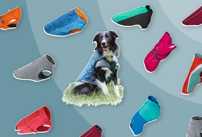 The Best Dog Jackets Fleeces & Coats For Cold and Wet Weather Trail and Kale Recommends