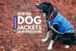 The Best Dog Jackets For Winter: Fleeces & Coats For Cold/Wet Weather