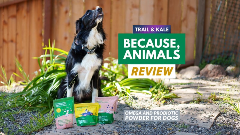 Because Animals Review: Dog Probiotics & Cultured Meat Because Animals Review: Dog Probiotics & Cultured Meat