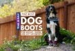 The Best Dog Boots For Hiking, Snow & Hot Pavements