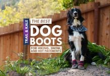 The Best Dog Boots For Hiking, Snow & Hot Pavements