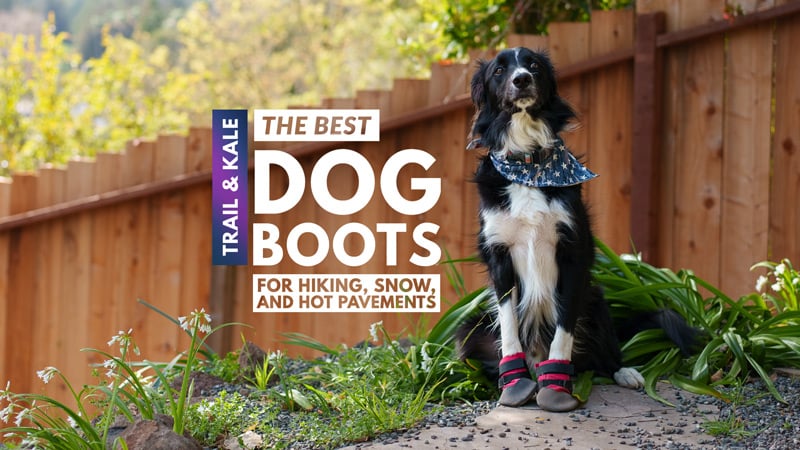Hype Best Dog Shoes For Walking