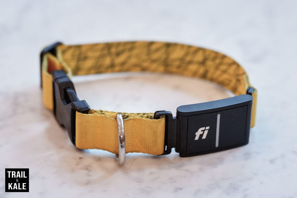 Fi Dog Collar Review Series 3 by Trail and Kale 40