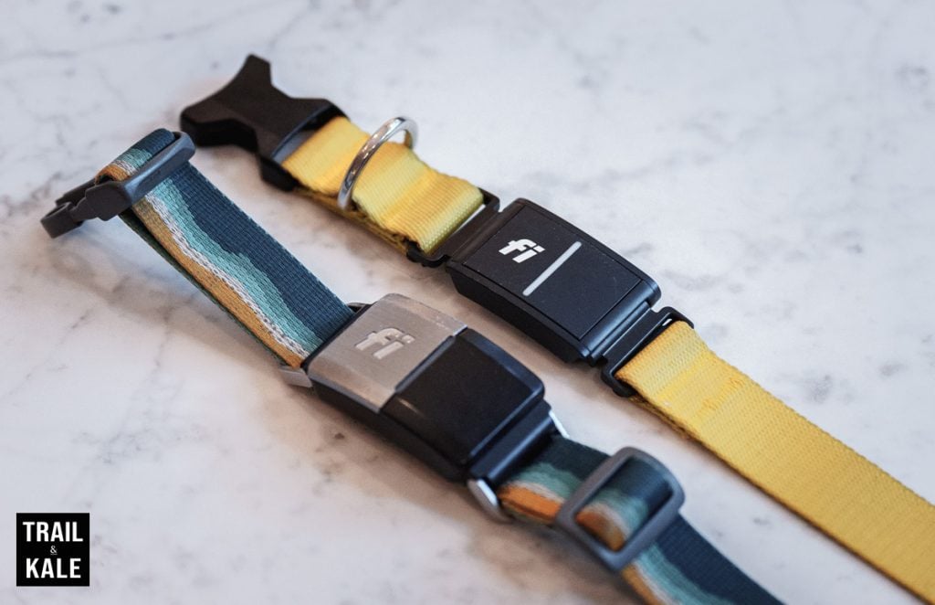 Fi Dog Collar Review Series 3 by Trail and Kale 42