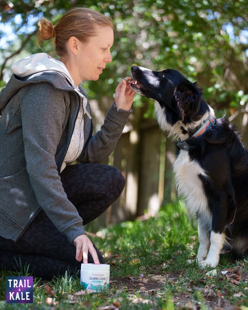 Kepler Premium Care Calming Chews Trail and Kale web wm 1