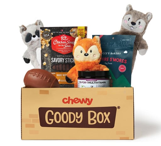 Chewy goody box dog gifts for adventure dogs