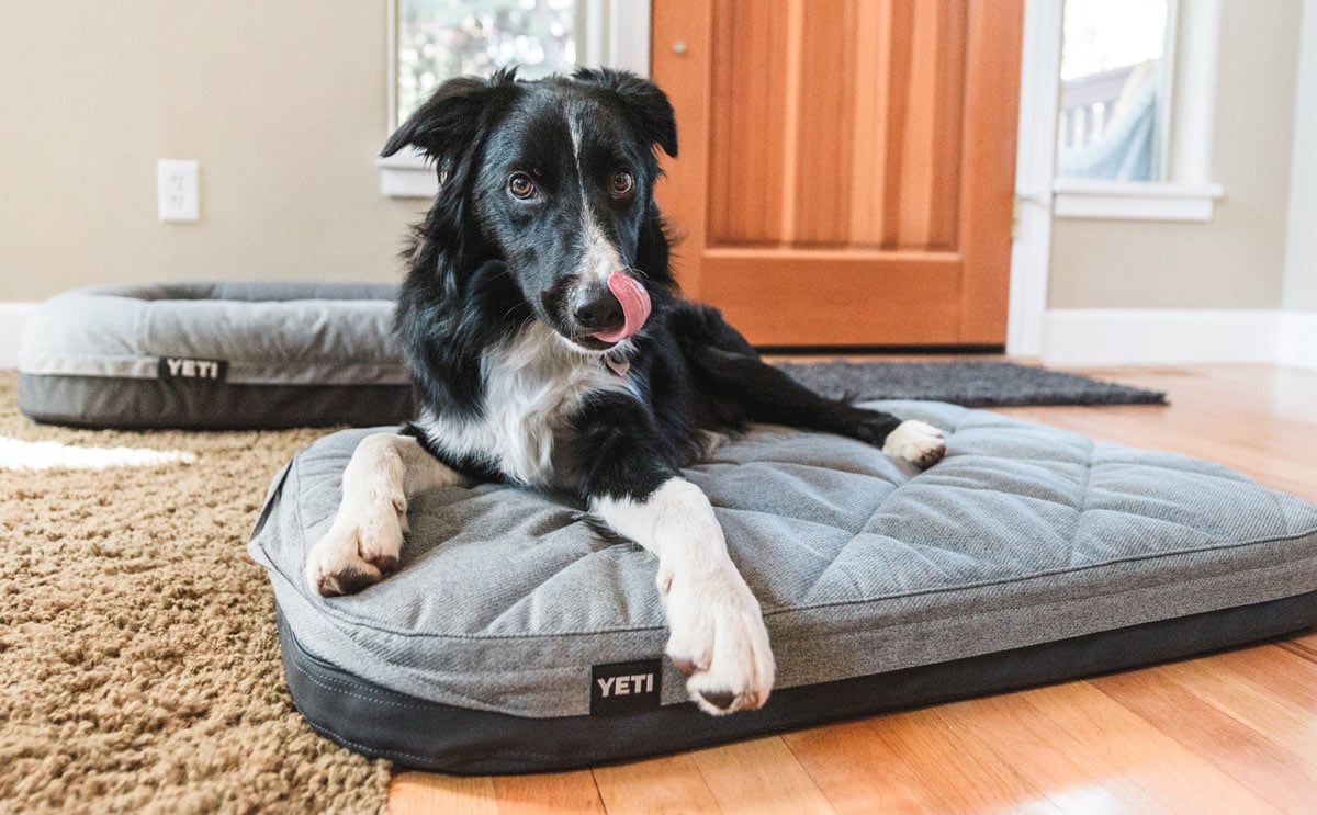 The Perfect Holiday Gift For Your Dog: The Yeti Trailhead Dog Bed