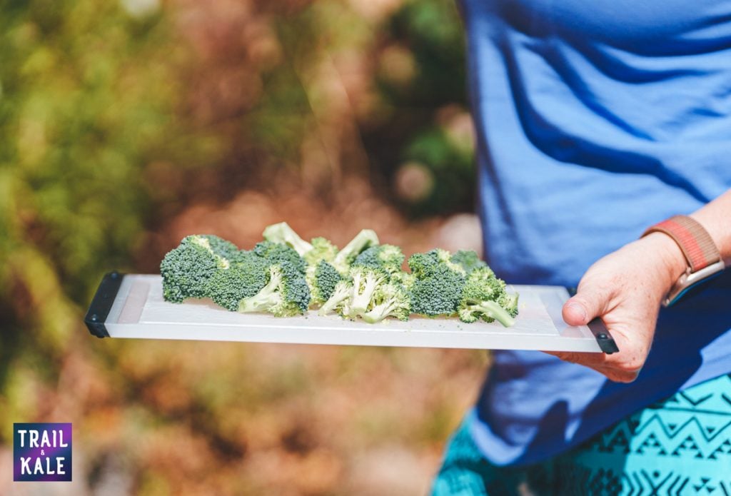 GoSun Solar Oven Review Trail and Kale web wm 23