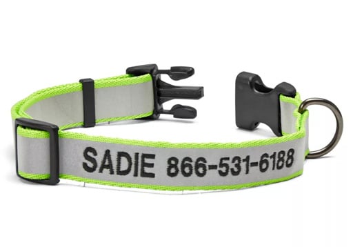 Orvis reflective dog collar with personalized name and number