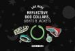 The Best Reflective Dog Collars, Lights and Jackets