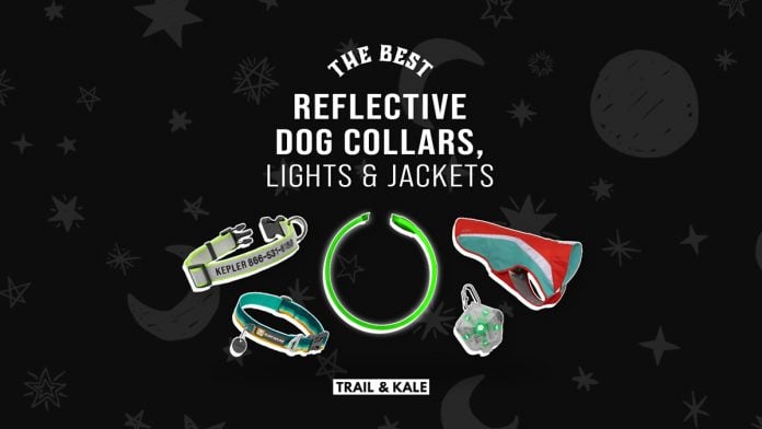 Reflective Dog Collars Harnesses Vests Trail and Kale