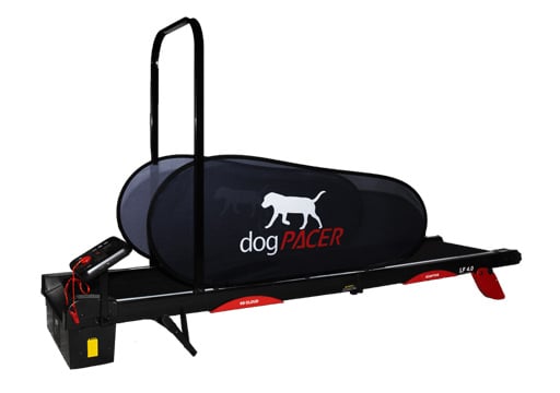 DogPACER 4 dog treadmill