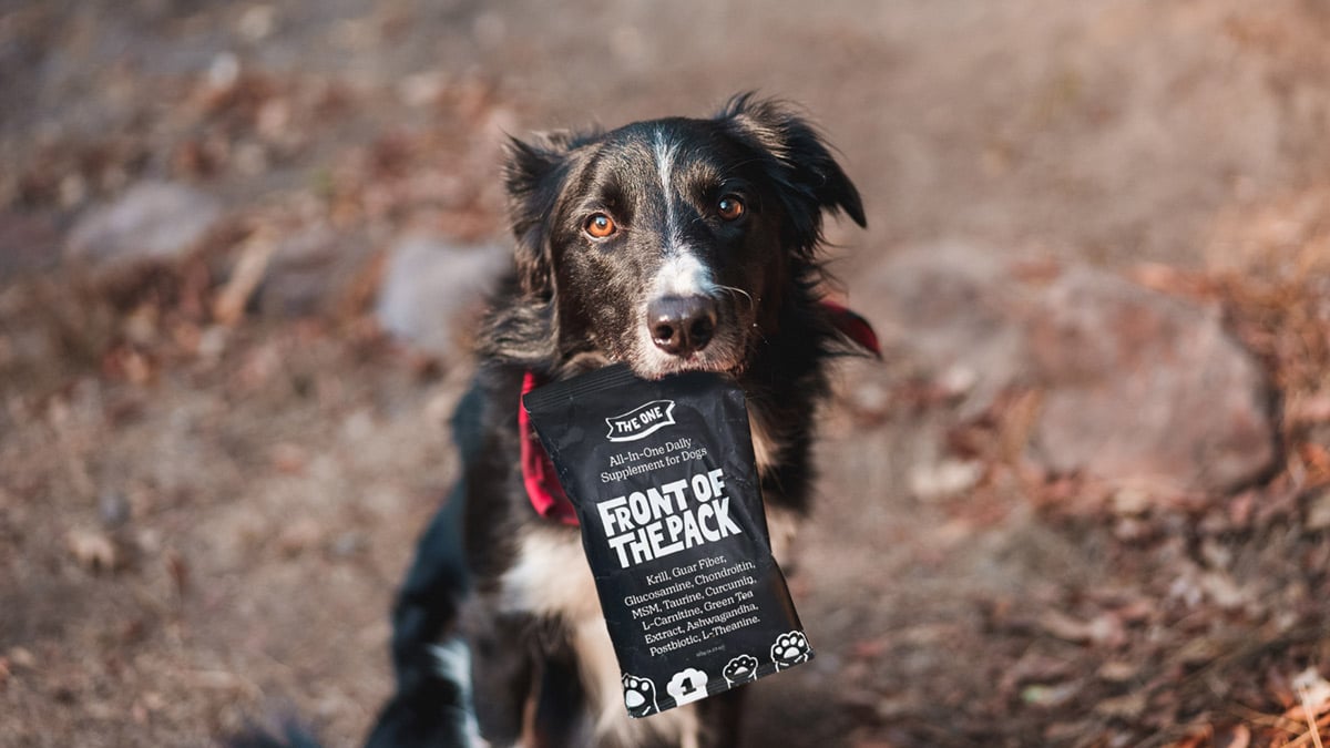 Front of The Pack Review Kepler The One Supplement for dogs