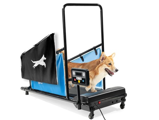 LifePro PawRunner doggy treadmill