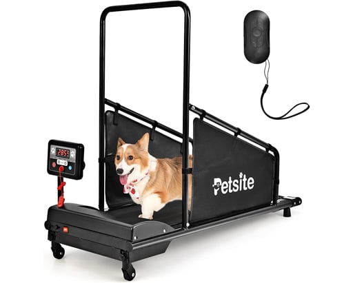 PETSITE Dog Treadmill budget doggy treadmill