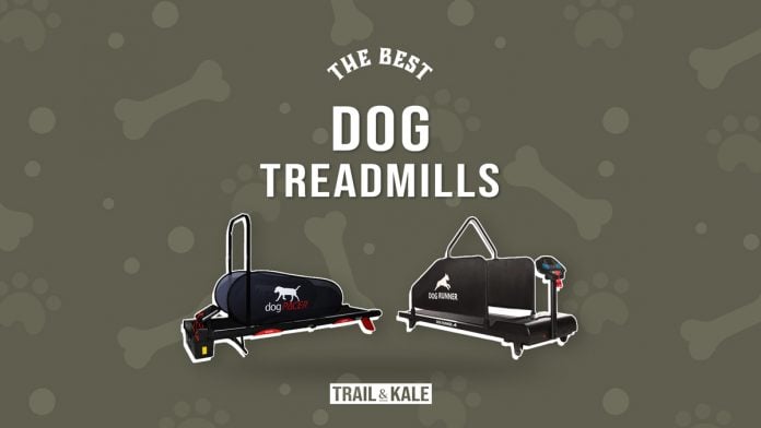 the best dog treadmills and running machines by Trail and Kale