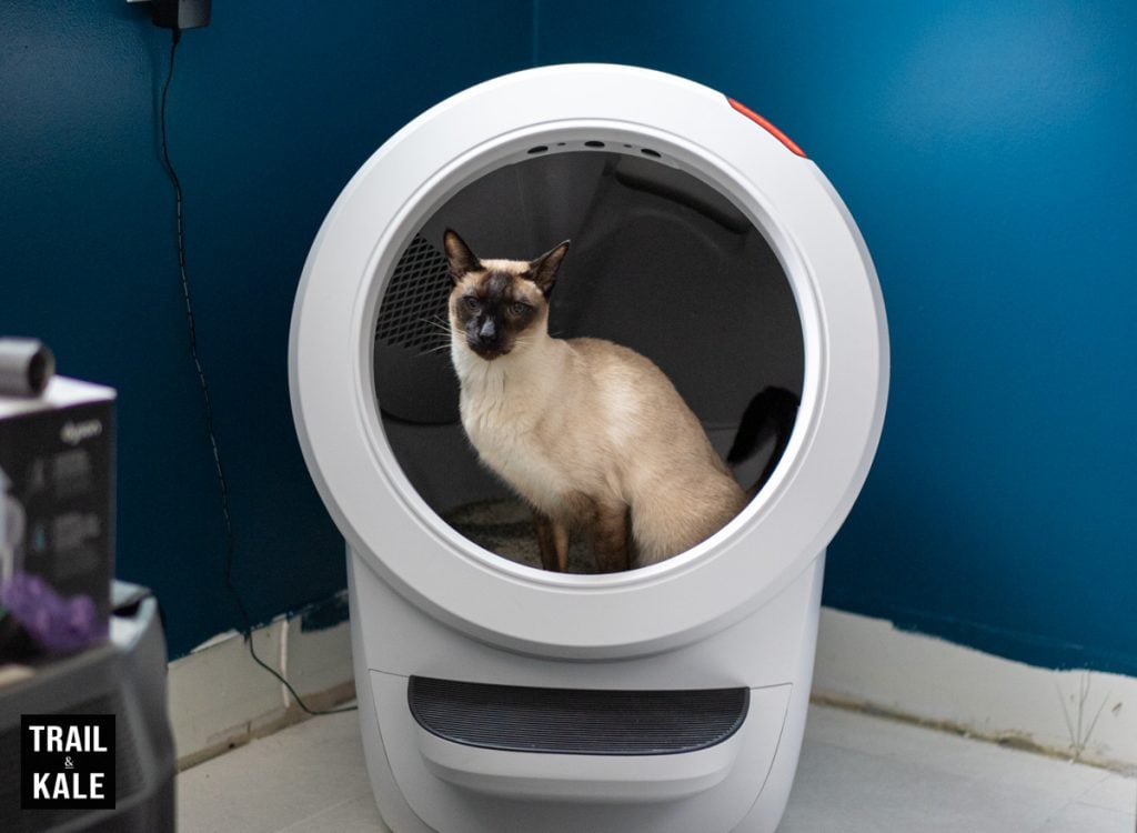 Whisker Litter Robot 4 review by Trail and Kale for web 4