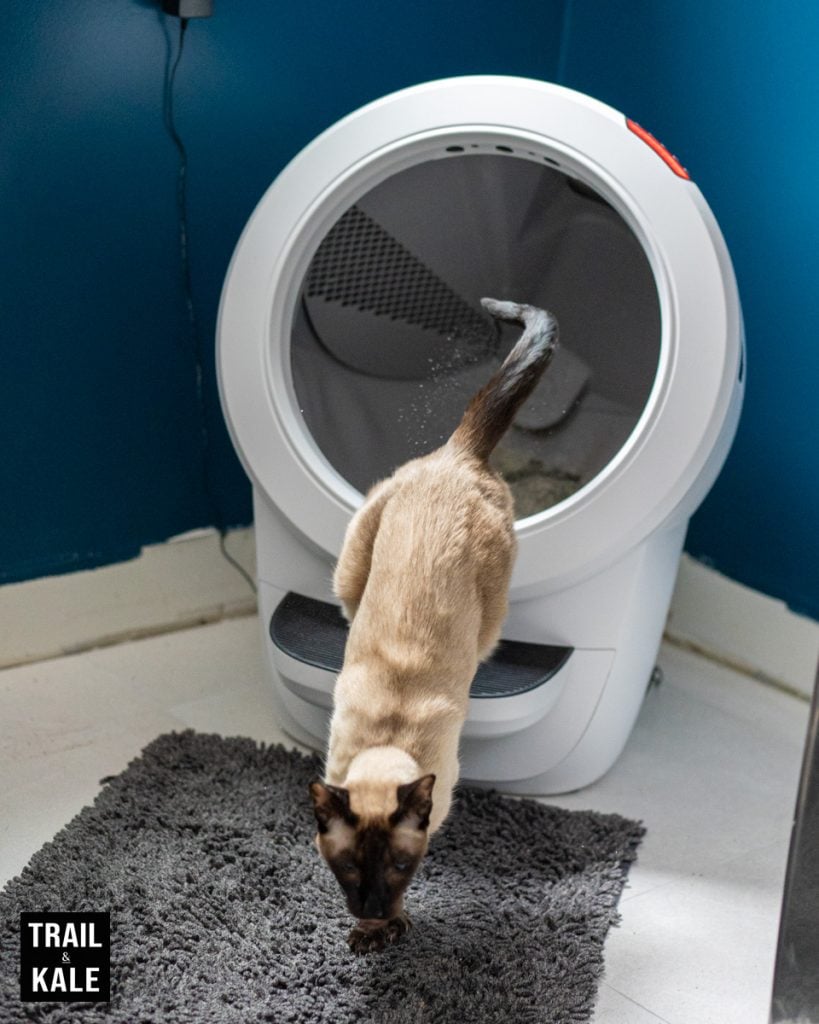 Whisker Litter Robot 4 review by Trail and Kale for web 7