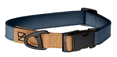 The Best Dog Collars For Adventure Dogs With Style