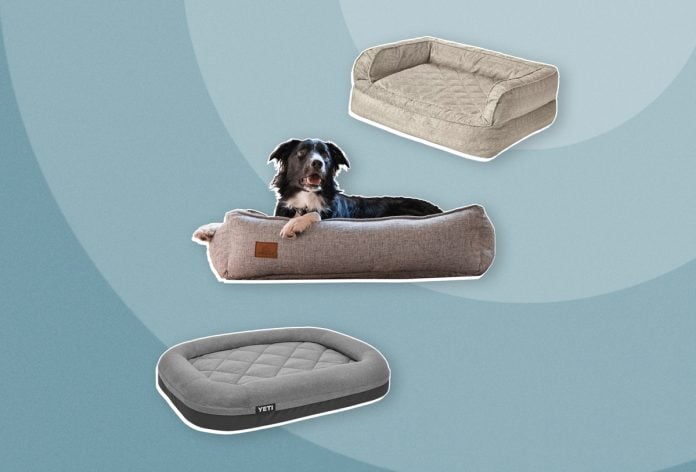 The Best Dog Beds Trail and Kale Recommends