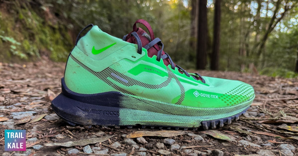 The Nike Pegasus Trail 4 GORE-TEX are some cool-looking waterproof trail running shoes